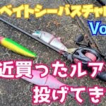 【ビッグベイトシーバスチャレンジ Vol,50】青物から逃げて最近買ったルアーを投げてみた