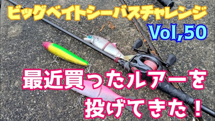 【ビッグベイトシーバスチャレンジ Vol,50】青物から逃げて最近買ったルアーを投げてみた