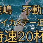 【ヤリイカ釣り】鹿島　不動丸　時速２０杯？　Xディー近い？　