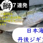 【日本海丹後ジギング】脅威の鰤７連発〜おそらく後何年も「人生で一番鰤を釣った日」になり続けるであろうXデイ〜