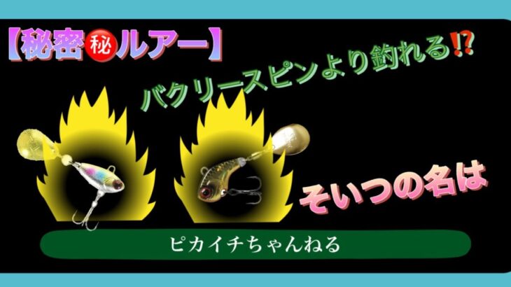 【秘密のルアー】教えちゃいます。デイシーバス釣り＃シーバス＃スズキ釣り＃秘密のルアー＃釣り＃fishing