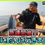 ジギング & キャスティング in 玄界灘！＠SⅡ 1/2