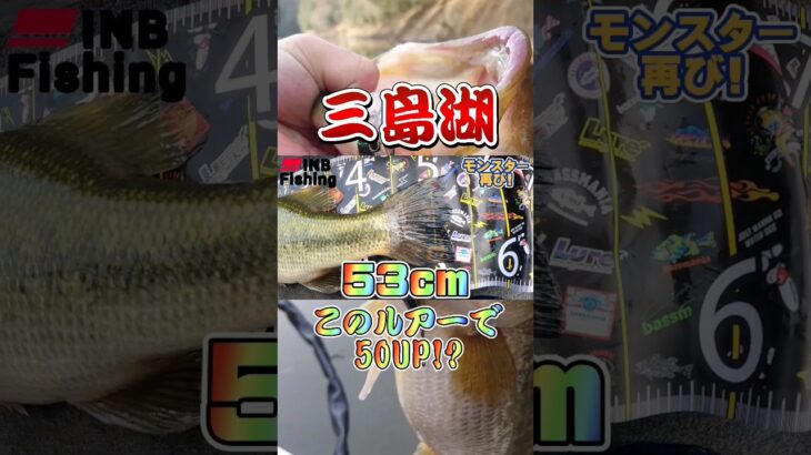 まさか!まさかのルアーでモンスター! #inb_fishing #バスフィッシング #バス釣り