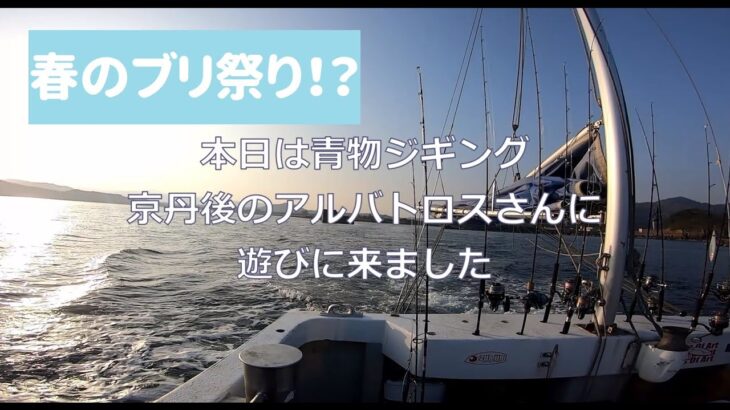 丹後ジャークヒットシーン 京丹後 春のブリ祭りに参戦！！【青物ジギング】