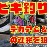 【サビキ釣り】デカサバ＆アジ連発編 正式版 #サビキ釣り #爆釣