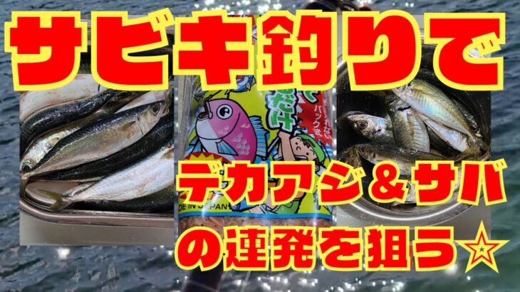 【サビキ釣り】デカサバ＆アジ連発編 正式版 #サビキ釣り #爆釣