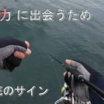 【エギング】ラインで見るエギの着底