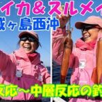 城ヶ島西沖のヤリイカ＆スルメイカ釣り。底反応中層反応の狙い方【ヤリイカ釣り】【スルメイカ釣り】【ブランコ仕掛け】【落とし込み釣法】【中層反応】【直結仕掛け】