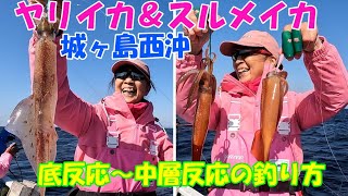 城ヶ島西沖のヤリイカ＆スルメイカ釣り。底反応中層反応の狙い方【ヤリイカ釣り】【スルメイカ釣り】【ブランコ仕掛け】【落とし込み釣法】【中層反応】【直結仕掛け】