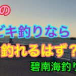 夕方のサビキ釣りなら釣れるはず？碧南海釣り公園