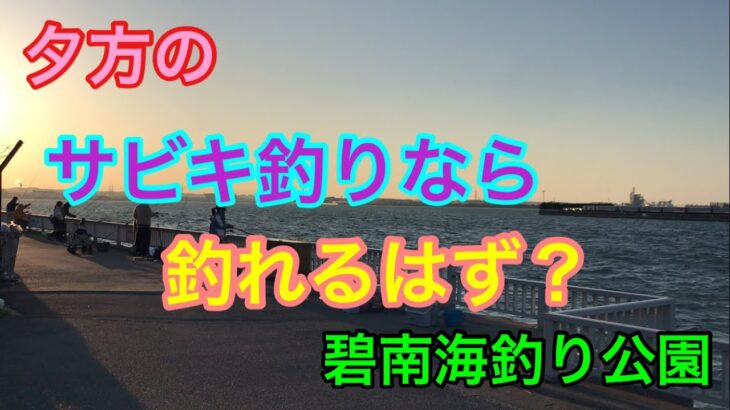 夕方のサビキ釣りなら釣れるはず？碧南海釣り公園