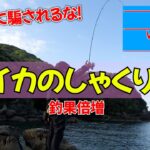 春エギング攻略！ゆっくりに騙されるな！春イカ狙いのしゃくり方伝授！プロから学ぶエギング講座