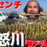 【茨城バス釣りポイント】鬼怒川激アツポイント！ダーマス意地の一撃！小貝川【バス釣り】