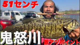 【茨城バス釣りポイント】鬼怒川激アツポイント！ダーマス意地の一撃！小貝川【バス釣り】