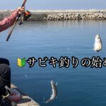 春の漁港で座ってのんびりアジを釣る。🔰サビキ釣りの始め方つき