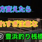 釣り方を変えたら釣れすぎ注意な豊浜釣り桟橋 知多半島