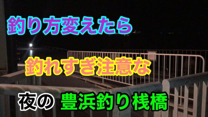 釣り方を変えたら釣れすぎ注意な豊浜釣り桟橋 知多半島