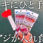 投げサビキ釣りで尺アジが連発！独り勝ちできるデカアジ狙い最強の裏技を紹介【車中泊釣り旅】