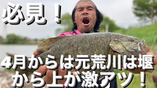 【埼玉バス釣りポイント】これからの時期元荒川は堰から上が熱い！満水時調査！【ブラックバス】