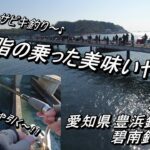 美味い魚が食べたい！ お手軽＆簡単サビキ釣りを楽しもう～ (^^♪ 【 サビキ釣り 豊浜釣り桟橋 碧南釣り広場 】