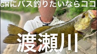 【バス釣りオススメポイント】渡良瀬川！ドローン練習場裏！【ブラックバス】