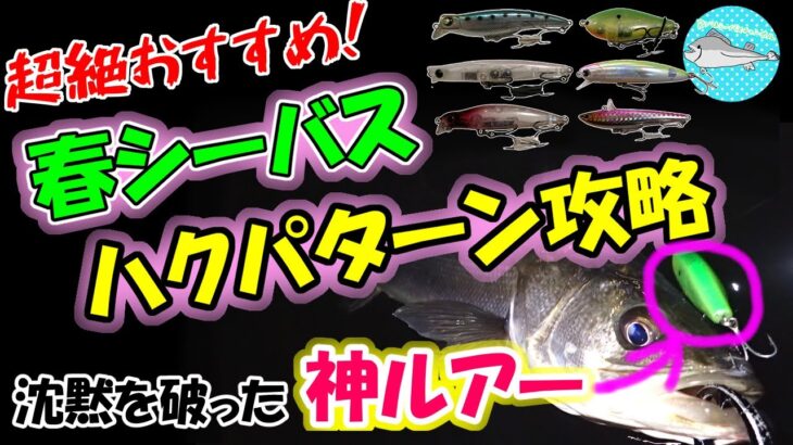 【春シーバス】超絶おすすめ！ハクパターンを攻略した神ルアーとは！？