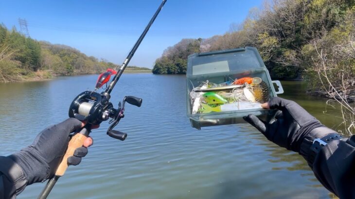 春（４月）に釣れると評判のルアーで、デカバスが連発しました「バス釣り」「野池」「初心者」