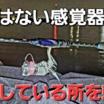 魚の嗅覚を刺激！フォールでアピールさせると良型連発でした。