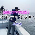 【ヒラマサジギング】平戸沖ジギングで良型ヒラマサ連発