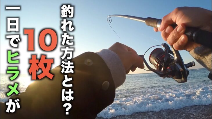 夢のショアブリを釣りに行ったら！！