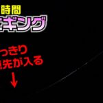 春エギングで巨大アオリを釣る為短時間で狙うと目で見てわかる強烈なアタリ！最後に事故りました