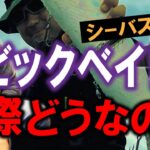 バチパターンでも出る？コノシロパターンは関係ない！ビックベイトの釣り　村岡昌憲【切り抜き】