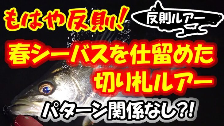 【シーバス】もはや反則！春シーバスを仕留めた切り札ルアー！○○パターンとか関係なく釣れます