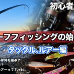 【初心者・入門者】サーフのルアー釣りのための解説・紹介《タックル・ルアー編》