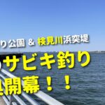 【東京湾奥サビキ釣り】春のシーズン開幕！鈴なりで釣れる美味しい回遊魚に狂喜乱舞！