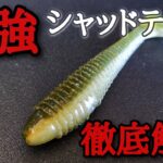 どうしても釣りたい人は絶対に使って欲しい最強シャッドテールを徹底解説「バス釣り」「釣れるワーム」「初心者」