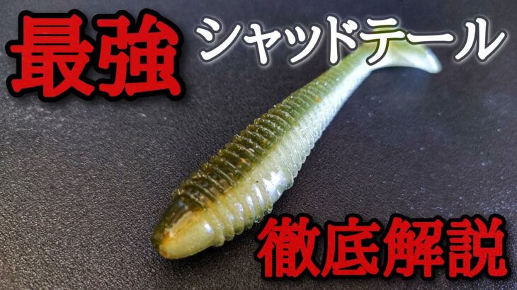 どうしても釣りたい人は絶対に使って欲しい最強シャッドテールを徹底解説「バス釣り」「釣れるワーム」「初心者」