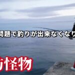 朝イチに怪物がキター【お知らせ】この堤防で釣りが出来なくなりました😢ごめんなさい