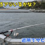 そろそろアジいるかな？？近所でサビキ調査