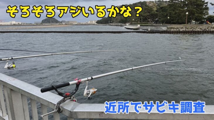 そろそろアジいるかな？？近所でサビキ調査