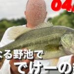 【バス釣り】全く知らない野池をまわって激アツポイント探す！【野池バス釣り】