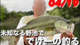 【バス釣り】全く知らない野池をまわって激アツポイント探す！【野池バス釣り】