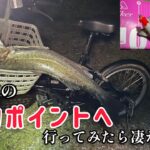 巷で噂の爆釣ポイントへ行ってみたら凄かった件