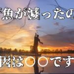 【釣り】魚が減っていませんか？その理由とは・・理由はこいつです！