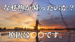 【釣り】魚が減っていませんか？その理由とは・・理由はこいつです！