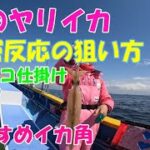 春の大型ヤリイカを釣ろう！城ヶ島西沖のヤリイカ釣り。中層反応の狙い方【ヤリイカ釣り】【ブランコ仕掛け】【落とし込み釣法】【中層反応】