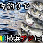 【魚釣り】手軽に堤防釣りを始めよう！サビキ釣りで横浜の金アジ狙い!!