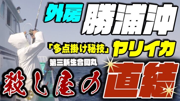 あなたにもできる直結ヤリイカ釣り～勝浦沖直結ヤリイカ  今季絶好調！外房のヤリイカ　～直結の釣り方誘い方また多点掛けの仕方～