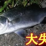 【浜名湖釣り】🎣浜名湖シーバスこう言う時に限って撮影してない運の悪さ🐟渚園でも調査釣行！