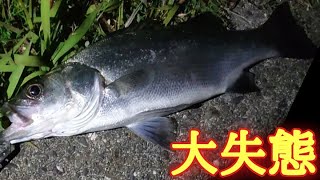 【浜名湖釣り】🎣浜名湖シーバスこう言う時に限って撮影してない運の悪さ🐟渚園でも調査釣行！